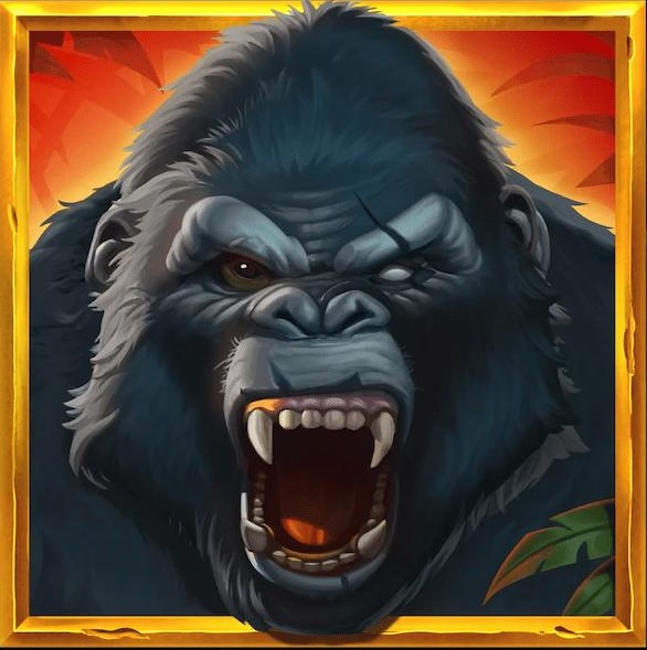 Apexgamers.net Gaming Experience